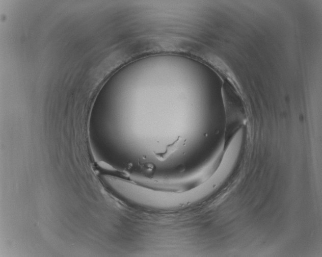 X0000067370481200604131845