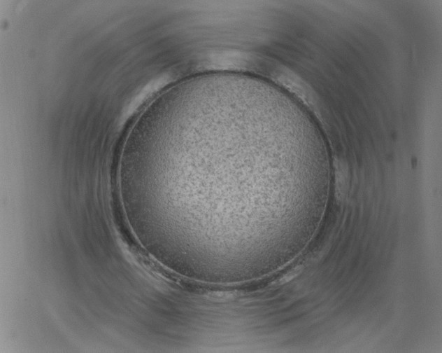 X0000067370482200604131845