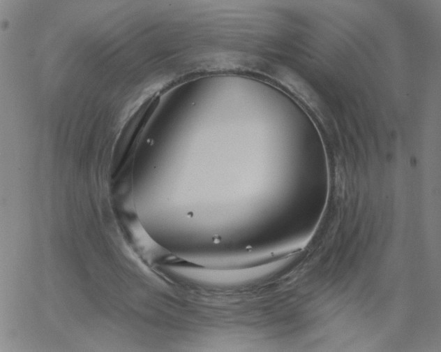 X0000067370485200604131845