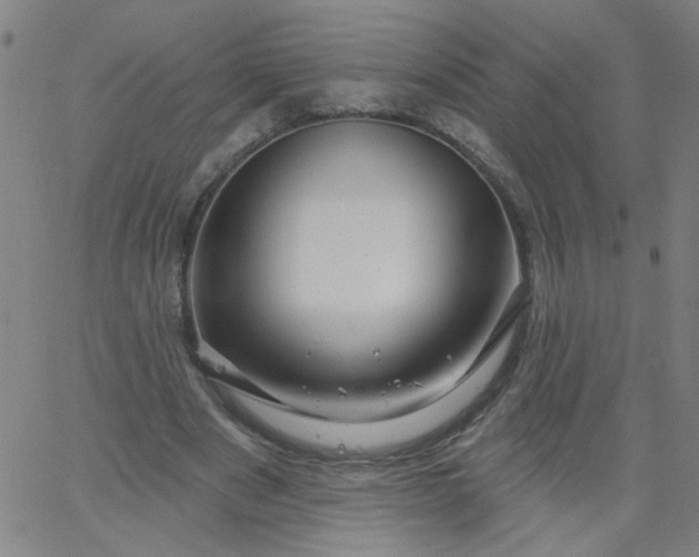 X0000067370489200604131845