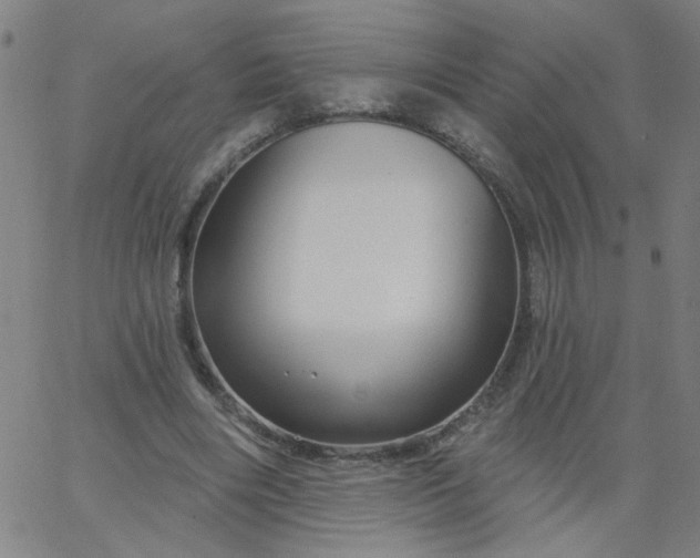 X0000067370490200604131845