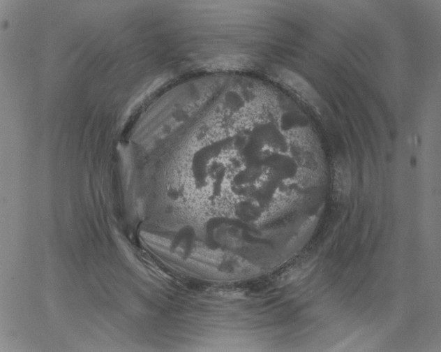 X0000067370491200604131845
