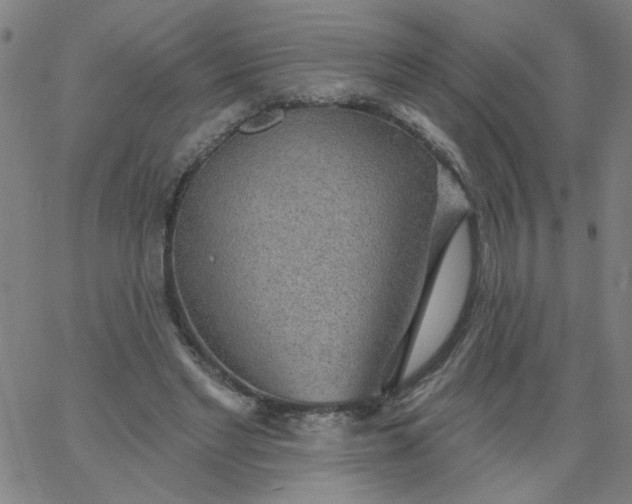 X0000067370493200604131845