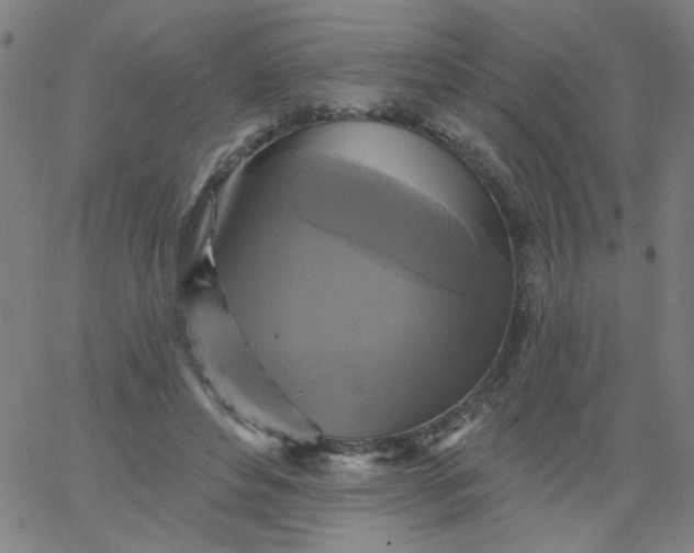 X0000067370496200604131845