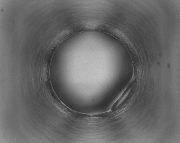 X0000067370497200604131845