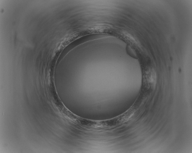 X0000067370504200604131845