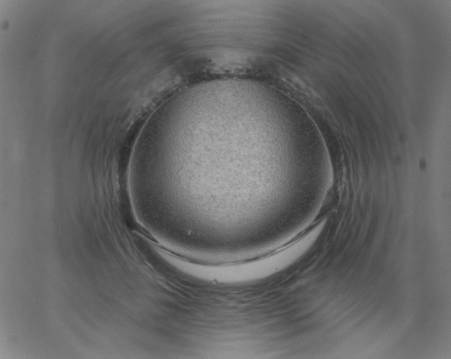 X0000067370508200604131845