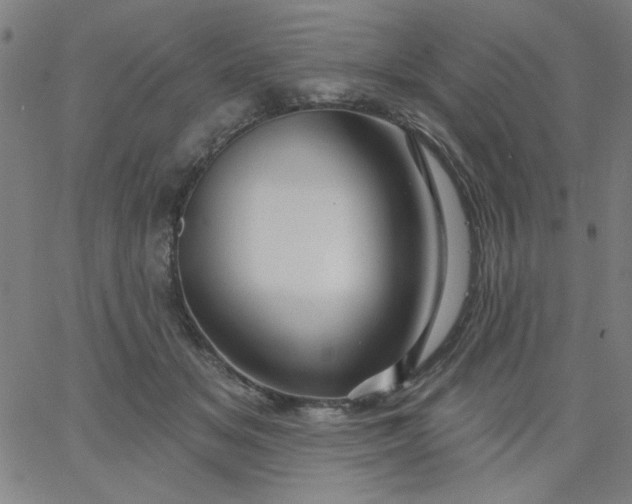 X0000067370509200604131845