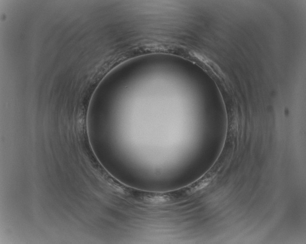 X0000067370513200604131845
