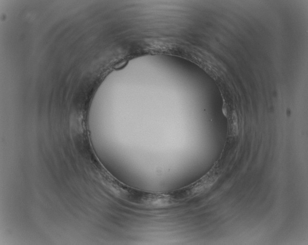 X0000067370514200604131845