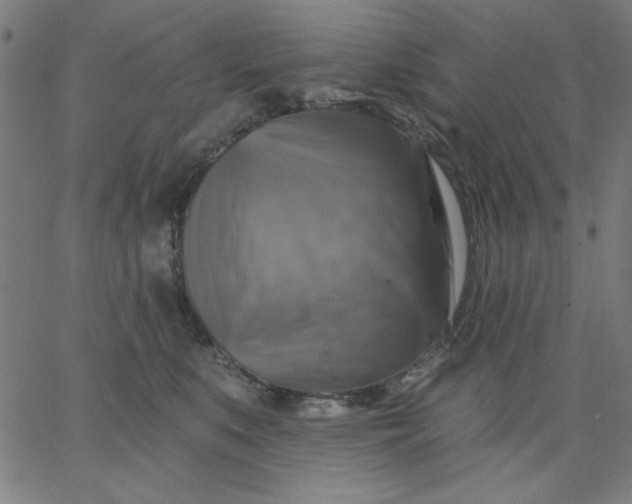X0000067370519200604131845