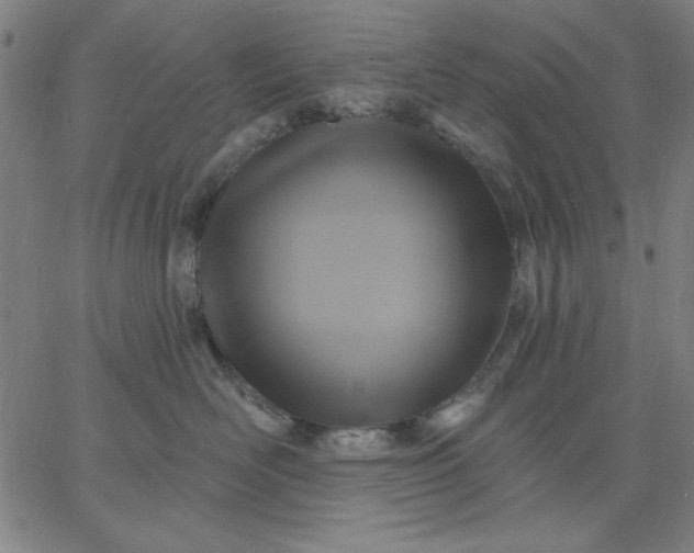 X0000067370526200604131844