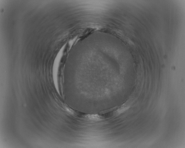 X0000067370528200604131844