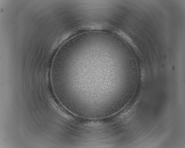 X0000067370537200604131844