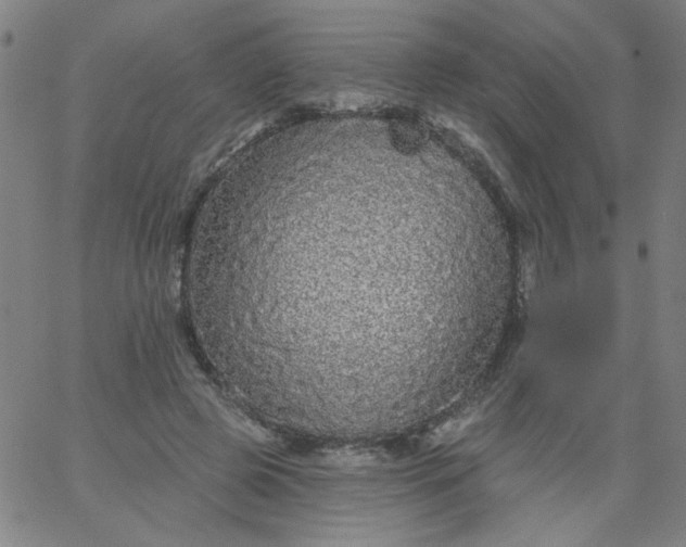 X0000067370545200604131844