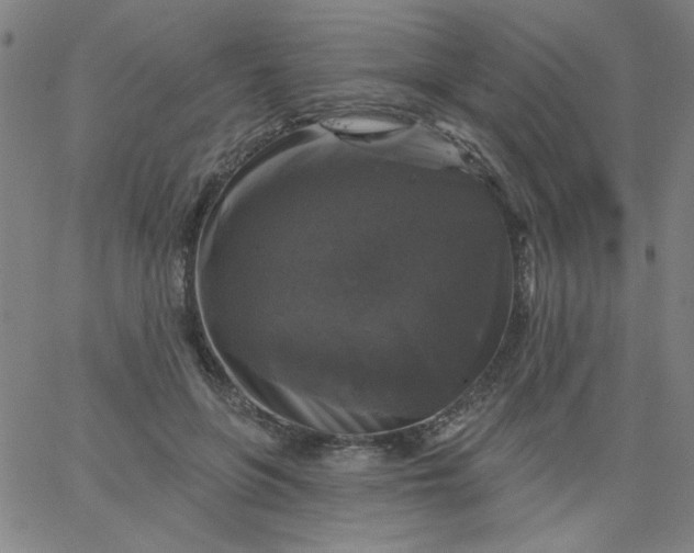 X0000067370551200604131844