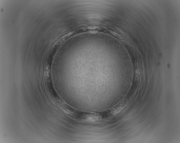 X0000067370555200604131844