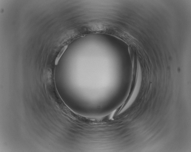 X0000067370556200604131844