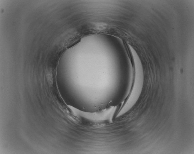 X0000067370562200604131844