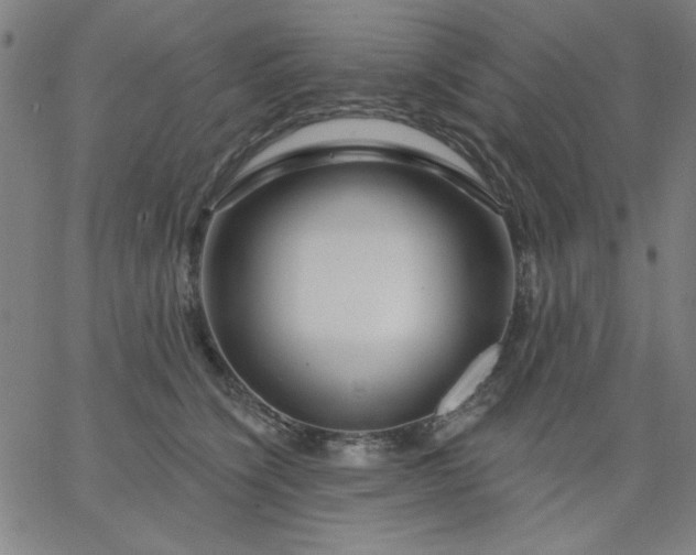 X0000067370564200604131844