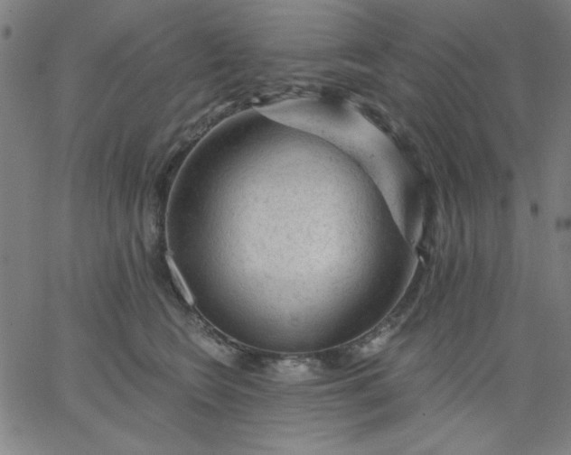 X0000067370566200604131844