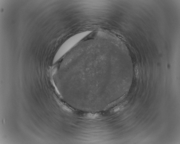 X0000067370570200604131844