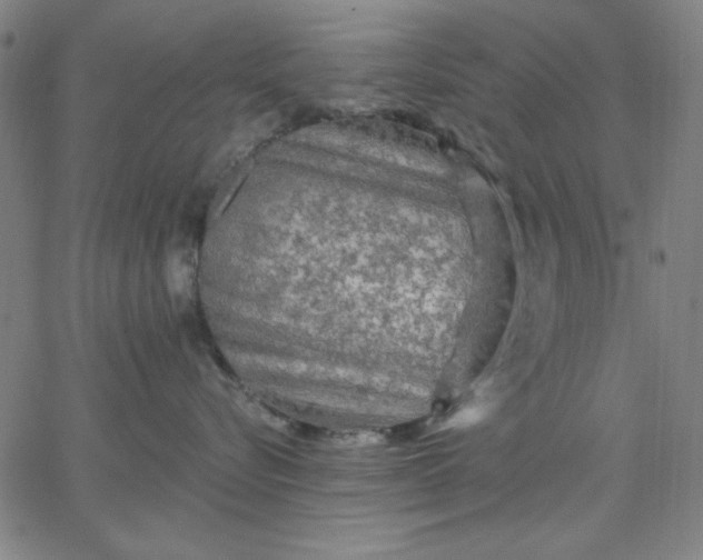 X0000067370576200604131844