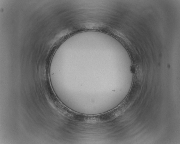 X0000067370587200604131843