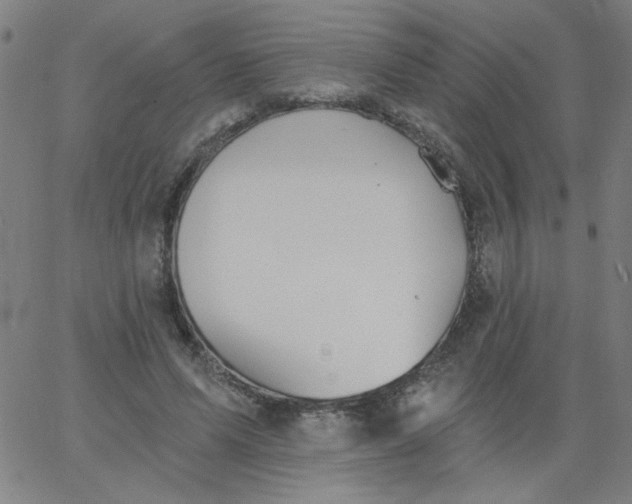 X0000067370591200604131843