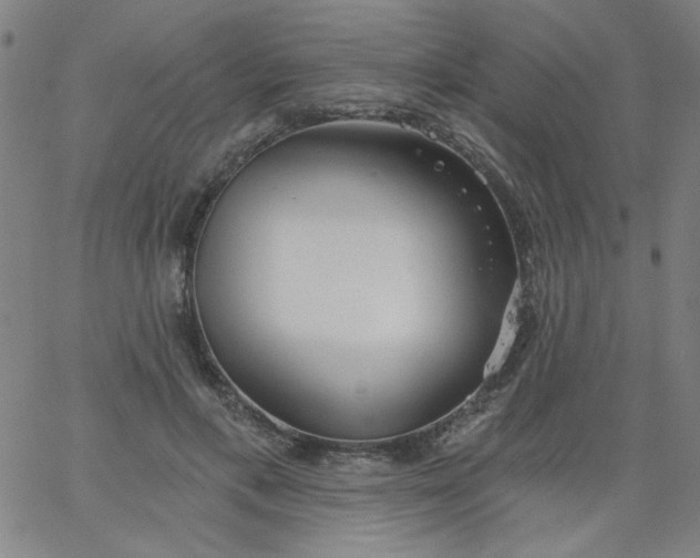 X0000067370597200604131843