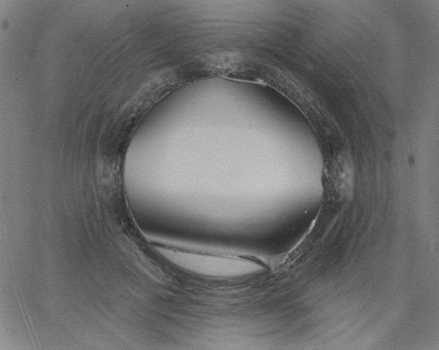 X0000067370601200604131843
