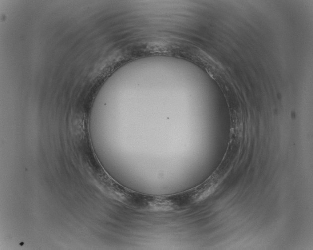 X0000067370603200604131843