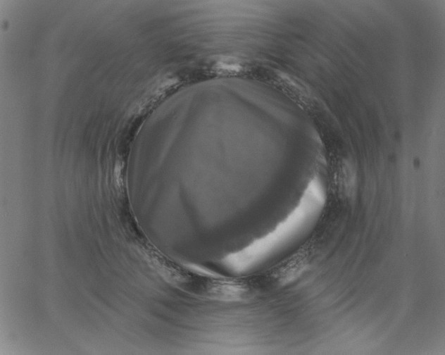 X0000067370610200604131843