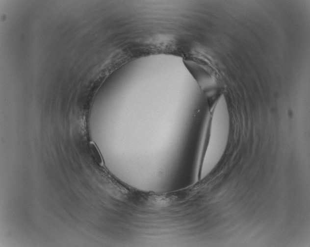 X0000067370613200604131843