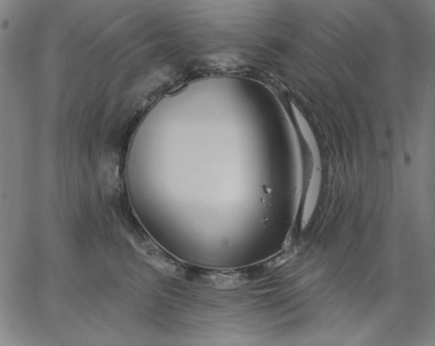 X0000067370615200604131843