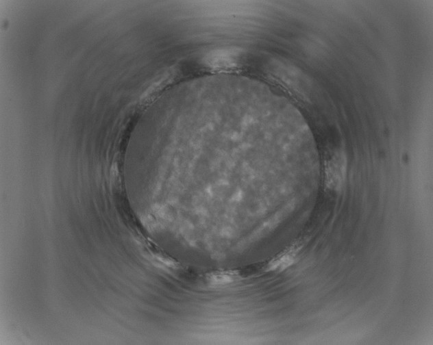 X0000067370618200604131843