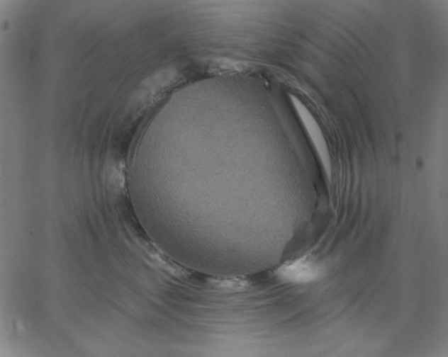 X0000067370621200604131843