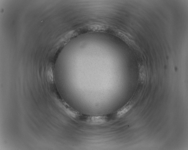 X0000067370622200604131843