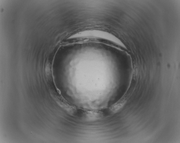 X0000067370623200604131843