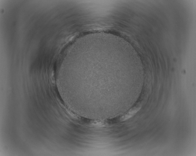 X0000067370624200604131843