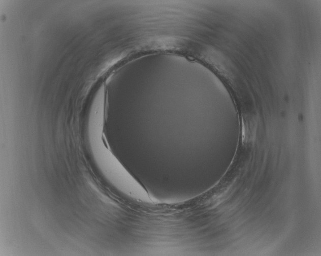 X0000067370627200604131842