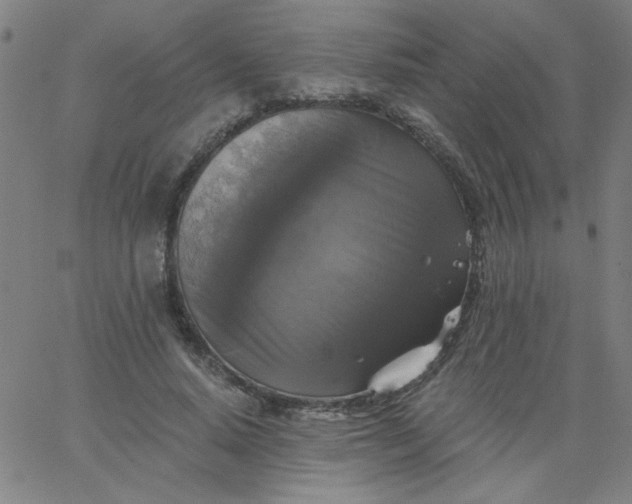 X0000067370640200604131842