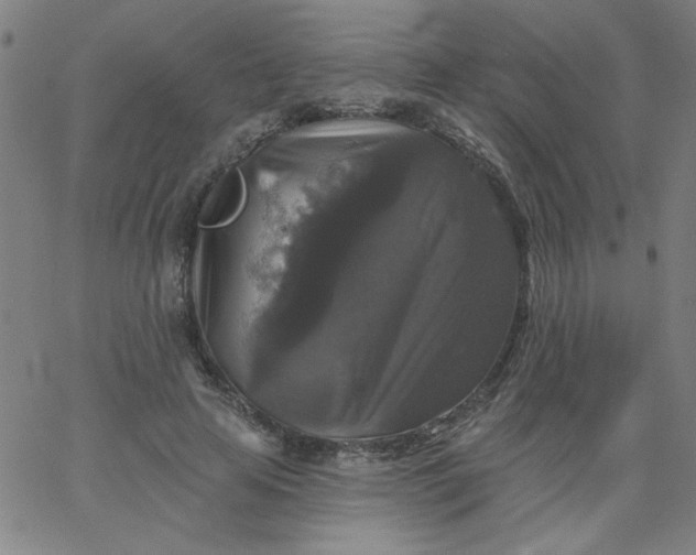 X0000067370641200604131842