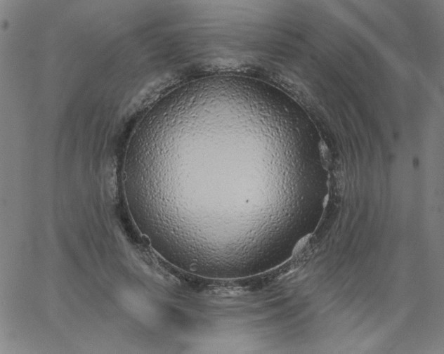 X0000067370642200604131842