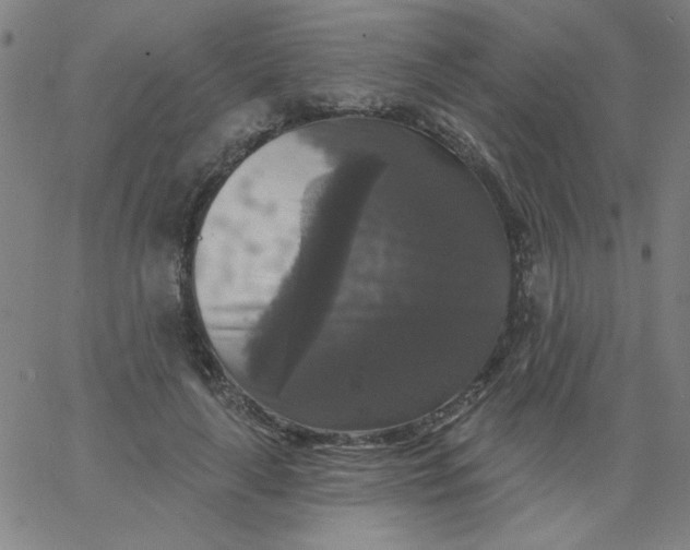 X0000067370643200604131842
