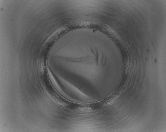 X0000067370644200604131842