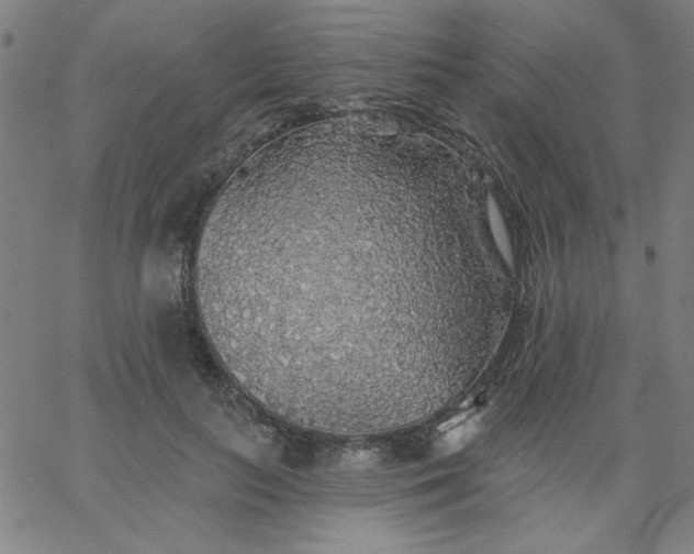 X0000067370647200604131842