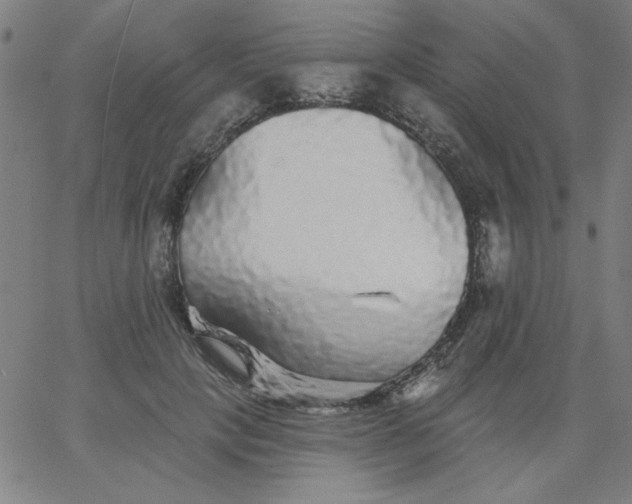 X0000067370649200604131842
