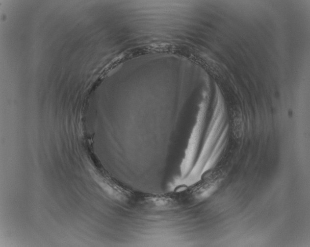 X0000067370654200604131843