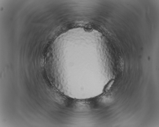 X0000067370657200604131843